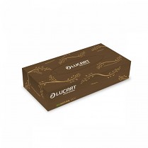 Kapesníky kosmetické Lucart ECO NATURAL 2-vrstvé v krabičce 100ks