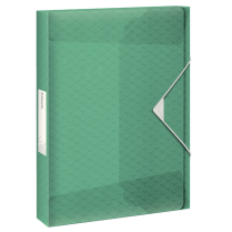 Box na spisy Esselte Colour'Breeze Svěží Zelená