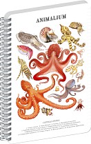 Blok ANIMALIUM - Hlavonožci A4, boční spirála, linka