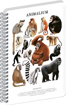 Blok ANIMALIUM - Primáti A4, boční spirála, čtvereček
