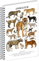 Blok ANIMALIUM - Kočkovité šelmy A5, boční spirála, čtvereček