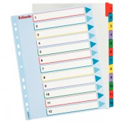 Kartonové rejstříky Esselte Mylar s přepisovatelným předním listem, A4 Maxi Mix barev