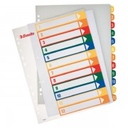 Celoplastové rejstříky Esselte popisovatelné na počítači A4 Maxi Mix barev